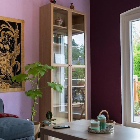 דטמולד Farbenfrohe Ferienwohnung מראה חיצוני תמונה