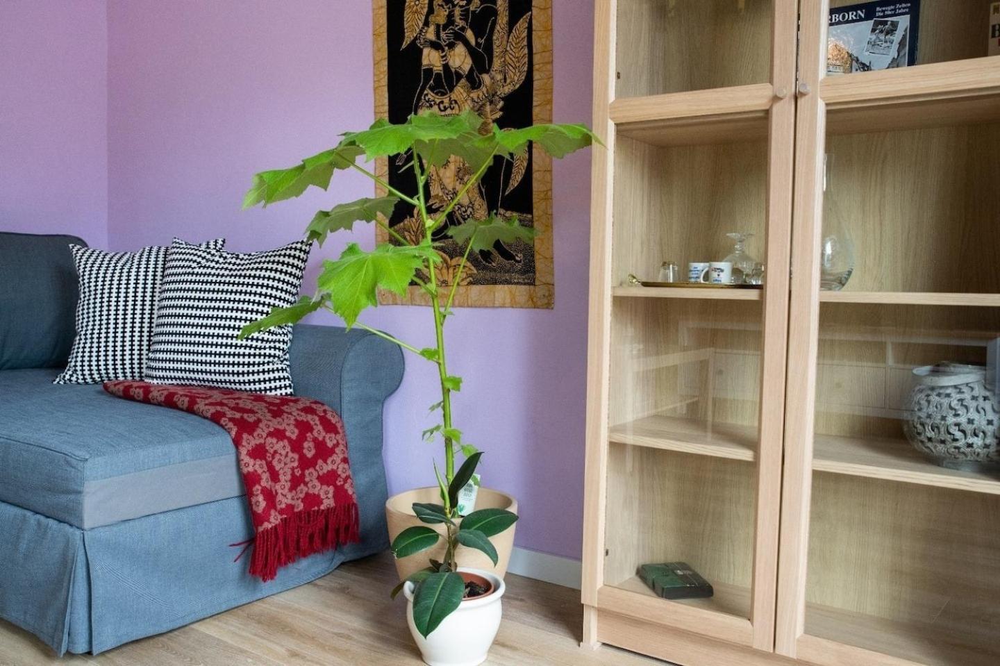 דטמולד Farbenfrohe Ferienwohnung מראה חיצוני תמונה